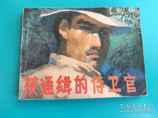 被通缉的侍卫官