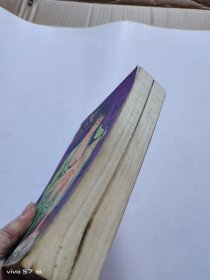 老武侠 护花神龙 上下