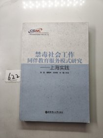 禁毒社会工作同伴教育服务模式研究——上海实践