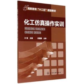 化工作实训/王强 大中专理科化工 王强 新华正版