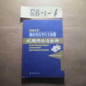 2004年湖北省高考自主命题试题评价与分析