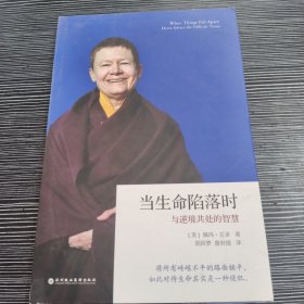 当生命陷落时：与逆境共处的智慧