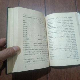 汉维统计词典