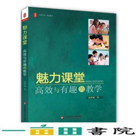 魅力课堂高效与有趣的教学赵希斌华东师范大学出9787567506848