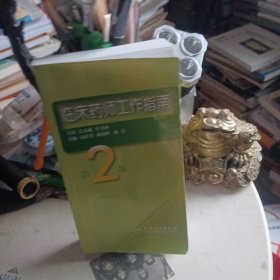 临床药师工作指南（第2版）