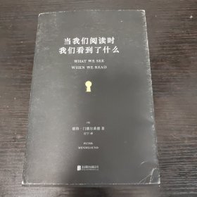 当我们阅读时，我们看到了什么