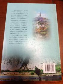 中国文化奇人傅山