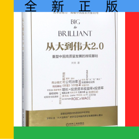從大到偉大2.0(重塑中國高質(zhì)量發(fā)展的微觀基礎(chǔ))(精)