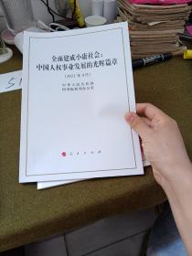 全面建成小康社会：中国人权事业发展的光辉篇章（16开）