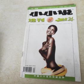 小小说选刊 2004 24