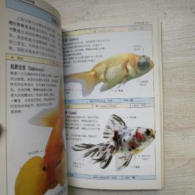 观赏鱼：全世界500多种观赏鱼的彩色图鉴