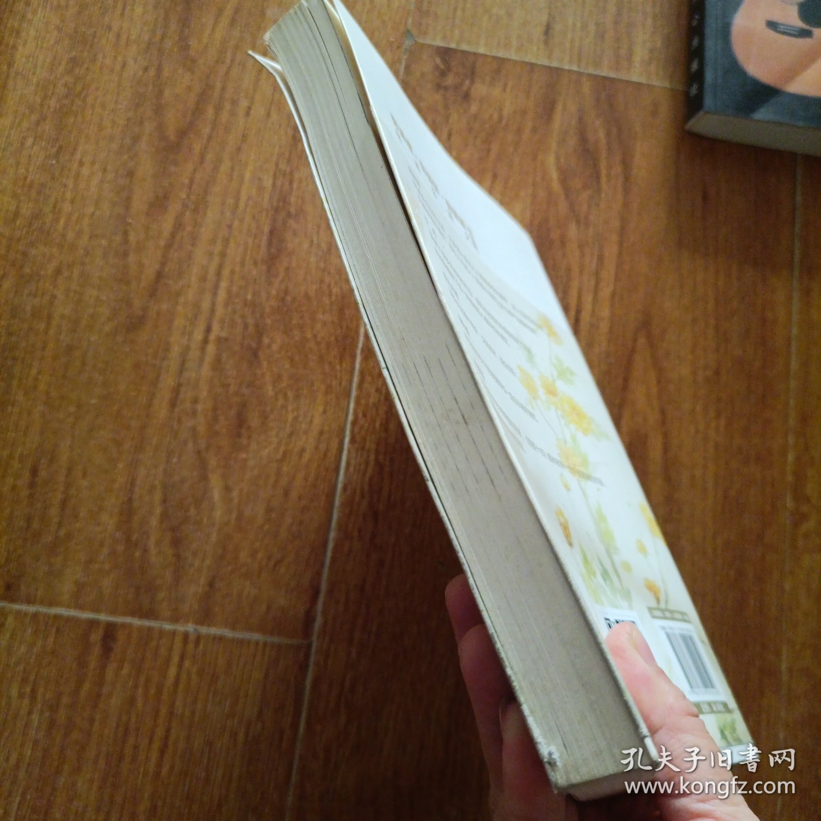 现在就是最好的时光