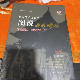 风雨沧桑九百年图说西安碑林（古代建筑·石刻艺术 珍藏版）(碑石)(三册合售)