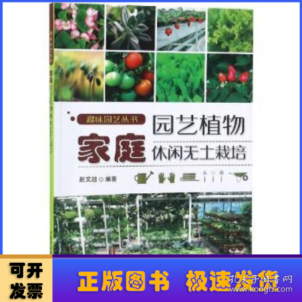 家庭园艺植物休闲无土栽培 