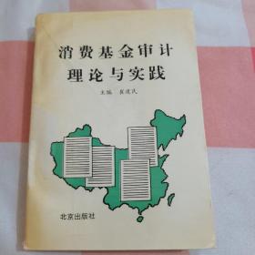 消费基金审计理论与实践【内页干净】