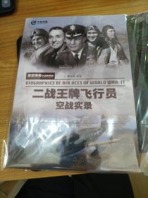 航空传奇之战场系列：二战王牌飞行员空战实录