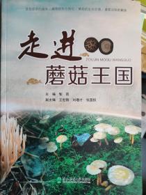 走进蘑菇王国