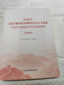 党的建设（贯彻落实习近平新时代中国特色社会主义思想在改革发展稳定中攻坚克难案例）