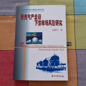 天然气产业链下游市场风险研究