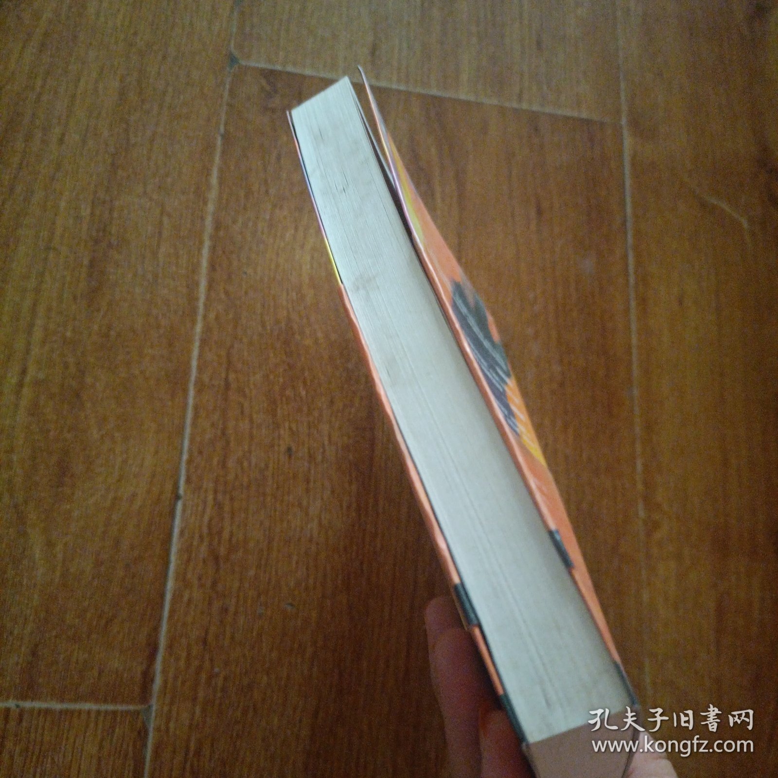 追风筝的人