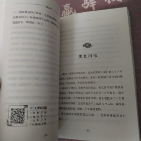 大自然原创儿童文学获奖书系 风之子