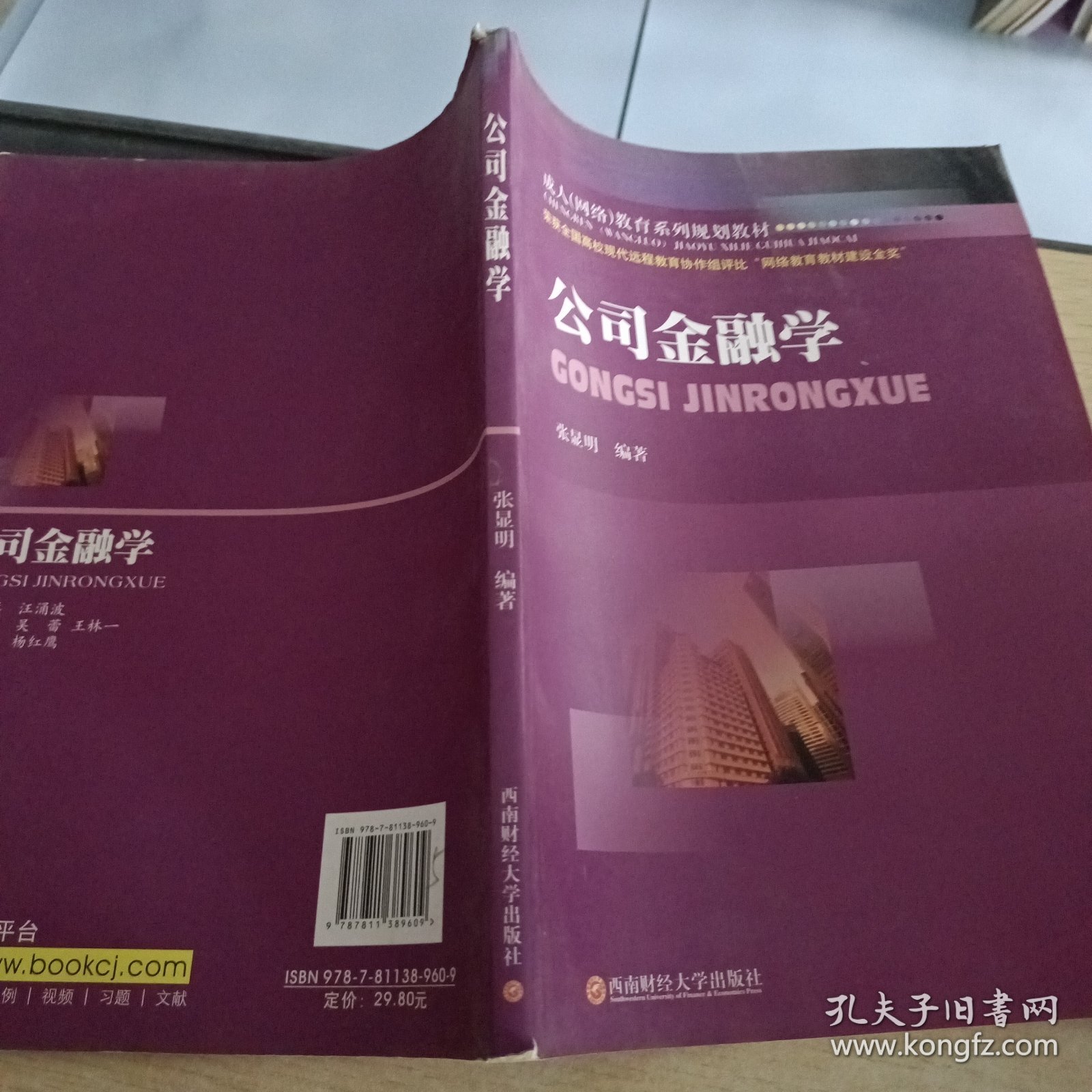 成人（网络）教育系列规划教材：公司金融学