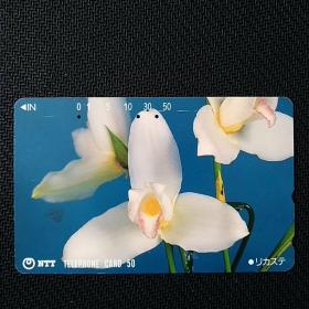 日本田村电话卡15～大阪府的花