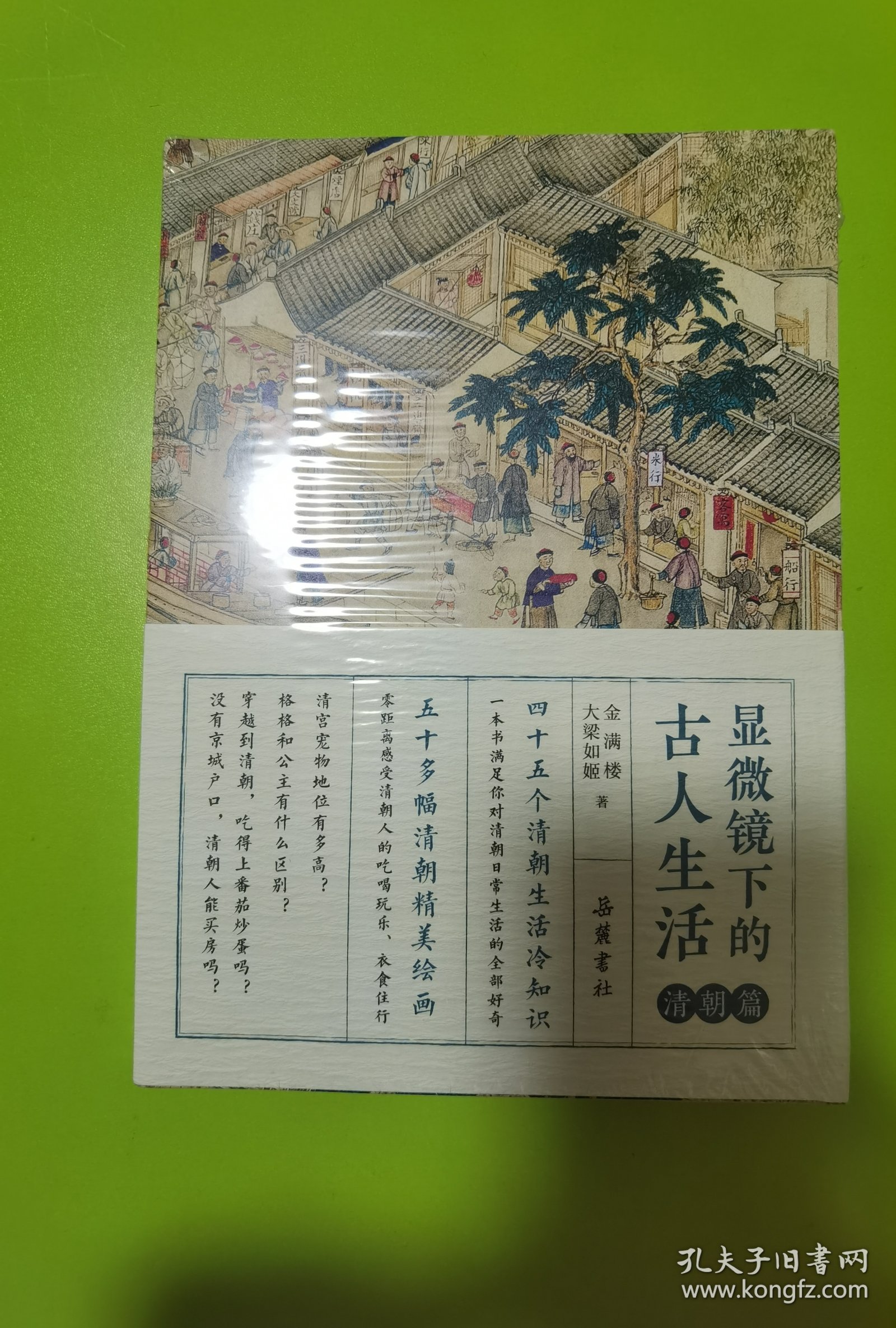 显微镜下的古人生活 清朝篇