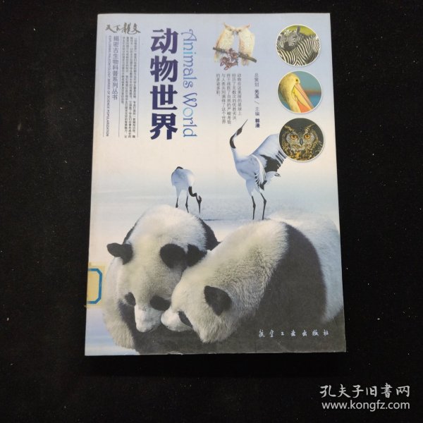 动物世界