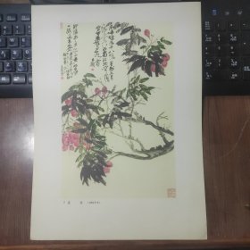 8开老画片 《荔枝》吴昌硕