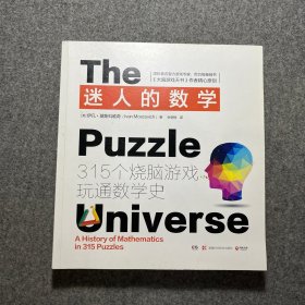 迷人的数学：315个烧脑游戏玩通数学史