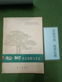 松树 形态结构与发育