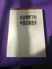 法治视野下的中国法制进步