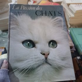 CHATS猫外语51-73