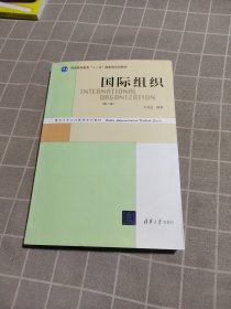 国际组织（第2版）/普通高等教育“十一五”国家级规划教材·清华大学公共管理系列教材