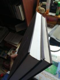 秦始皇陵兵马俑坑一号坑发掘报告（上下）