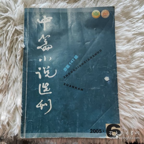 中篇小说选刊2005第6期