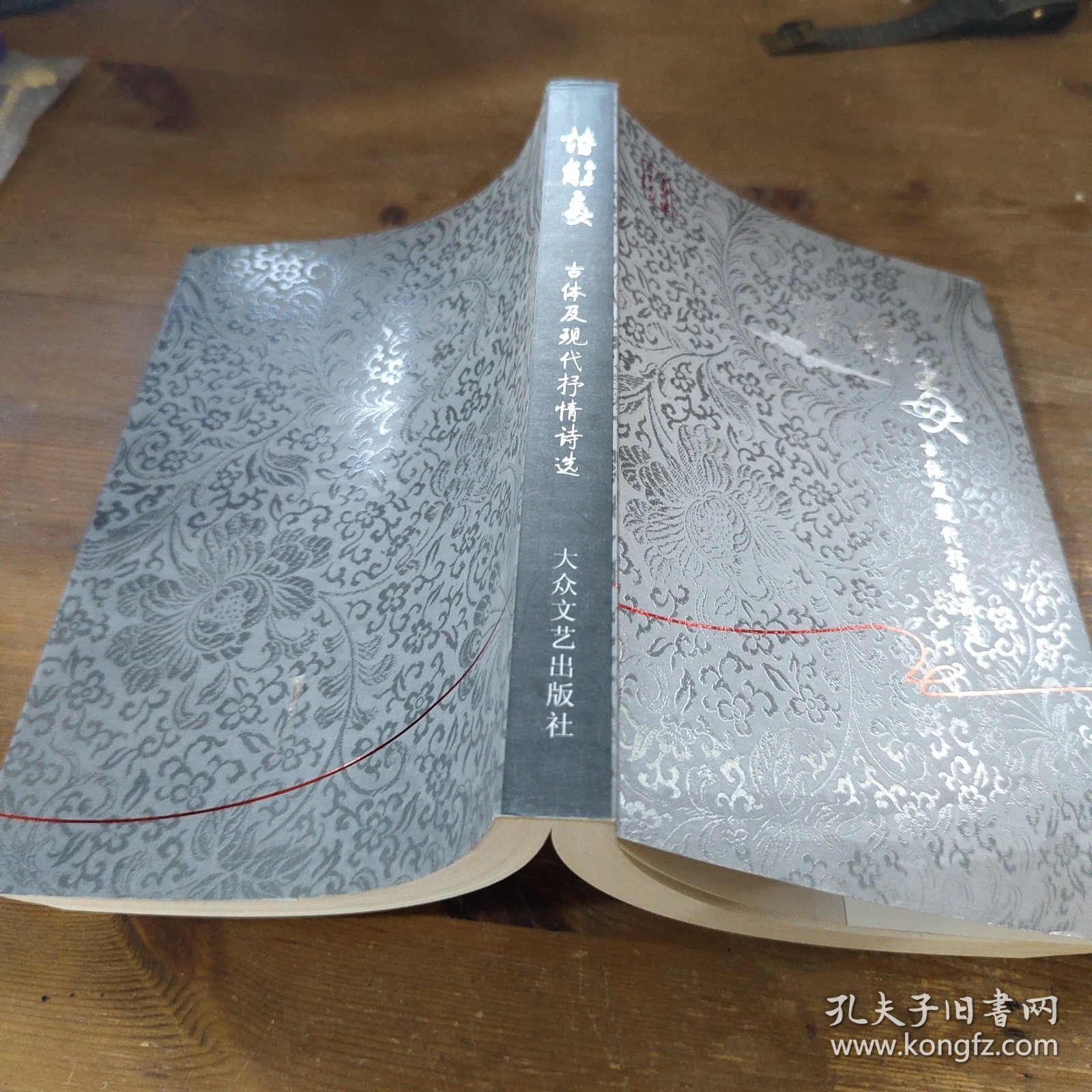 中国新锐作家文丛·诗解毒