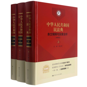 《中华人民共和国民法典》条文精释与实案全析（珍藏版）