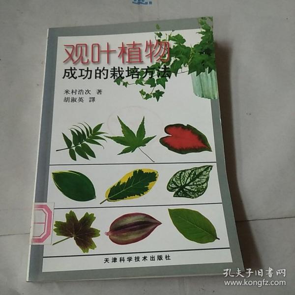 观叶植物成功的栽培方法