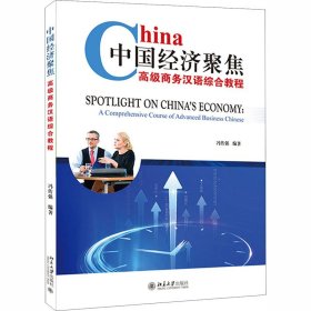 中国经济聚焦