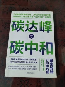 碳达峰碳中和：国家战略行动路线图 袁志刚 循环经济 低碳经济 环境气候