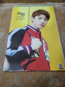 明星海报白敬亭6张合售