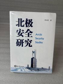 北极安全研究