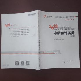 (2019)中级会计实务（上册）