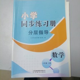 小学同步练习册分层指导数学六年级上册