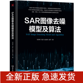 SAR图像去噪模型及算法