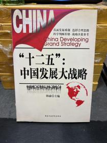 “十二五”：中国发展大战略