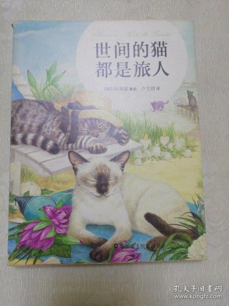 世间的猫都是旅人