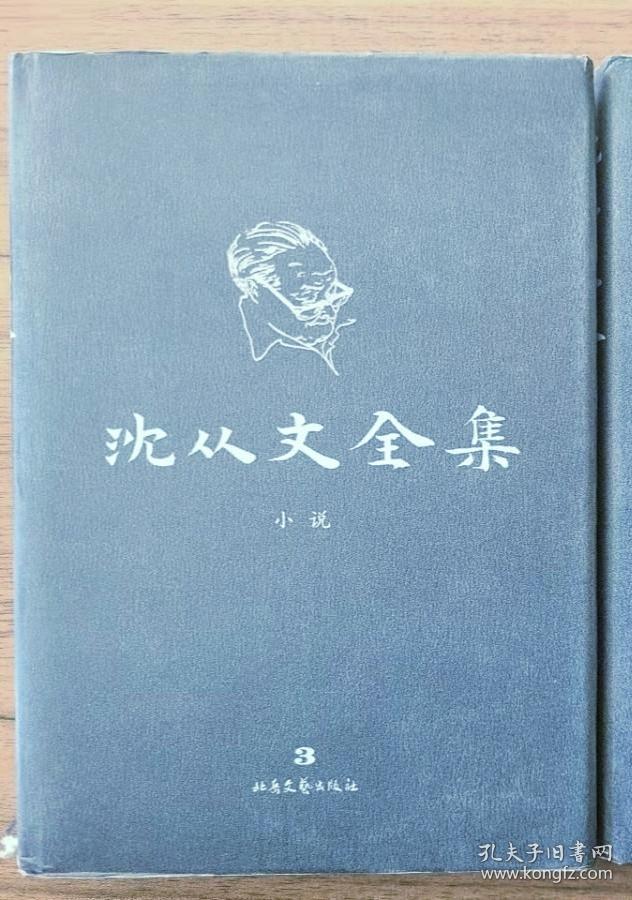 沈从文全集 3